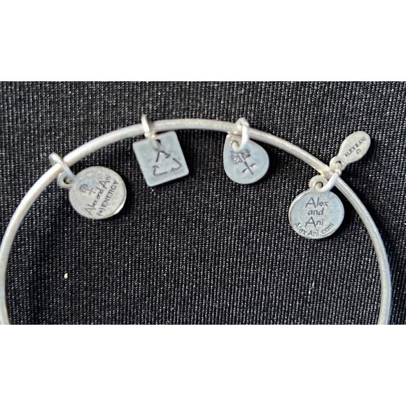 Alex and Ani Bracelet - Stand up to Cancer - Picture 5 of 7